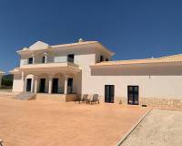 Nieuw gebouw - Villa - Pinoso - Camino Del Prado