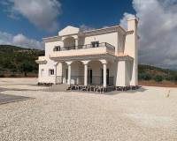 Nieuw gebouw - Villa - Pinoso - Camino Del Prado