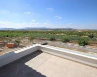 Nieuw gebouw - Villa - Pinoso - Camino Del Prado