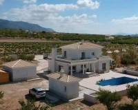 Nieuw gebouw - Villa - Pinoso - Camino Del Prado