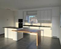 Nieuw gebouw - Villa - Pinoso