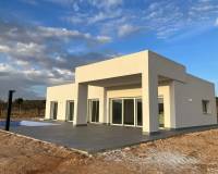 Nieuw gebouw - Villa - Pinoso