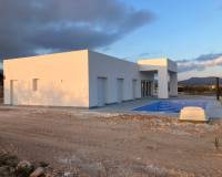 Nieuw gebouw - Villa - Pinoso