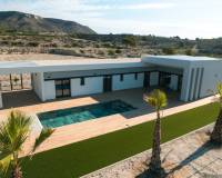 Nieuw gebouw - Villa - Pinoso