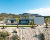 Nieuw gebouw - Villa - Pinoso