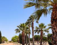 Nieuw gebouw - Villa - San Fulgencio - La Escuera