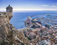 Nueva construcción  - Apartment - Alicante - Benalua