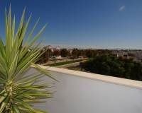 Nueva construcción  - Apartment - Pilar de la Horadada
