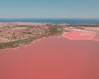 Nueva construcción  - Apartment - Torrevieja