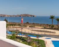 Nueva construcción  - Bungalow - Pulpi - Spain