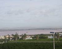 Nueva construcción  - Bungalow - Torrevieja - Los Altos