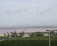 Nueva construcción  - Bungalow - Torrevieja