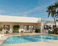 Nueva construcción  - Villa-Chalet - Aspe