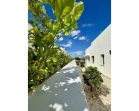 Nueva construcción  - Villa-Chalet - Benijofar