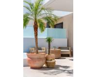 Nueva construcción  - Villa-Chalet - Dolores - Sector 3