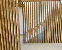 Nueva construcción  - Villa-Chalet - Finestrat