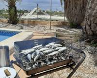 Nueva construcción  - Villa-Chalet - La Manga del Mar Menor