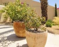 Nueva construcción  - Villa-Chalet - La Marina
