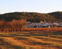 Nueva construcción  - Villa-Chalet - Lliber