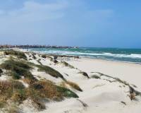 Nueva construcción  - Villa-Chalet - Pilar de la Horadada