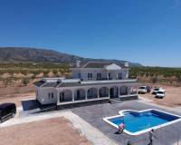 Nueva construcción  - Villa-Chalet - Pinoso - Camino Del Prado