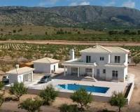 Nueva construcción  - Villa-Chalet - Pinoso - Camino Del Prado