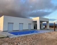 Nueva construcción  - Villa-Chalet - Pinoso