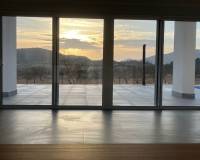 Nueva construcción  - Villa-Chalet - Pinoso