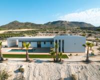 Nueva construcción  - Villa-Chalet - Pinoso