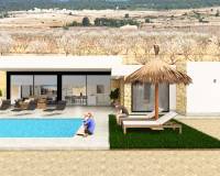 Nueva construcción  - Villa-Chalet - Pinoso