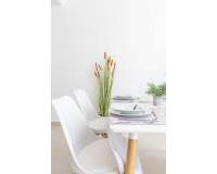 Nueva construcción  - Villa-Chalet - San Javier - Parque de los leones