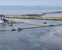 Nueva construcción  - Villa-Chalet - San Pedro del Pinatar - CENTRO