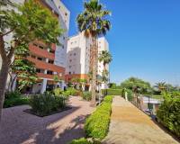 Resale - Apartment - Guardamar Del Segura - Avenida del puerto