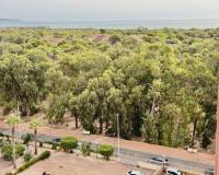 Resale - Apartment - Guardamar Del Segura - Guardamar del Segura
