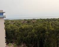 Resale - Apartment - Guardamar Del Segura - Guardamar del Segura