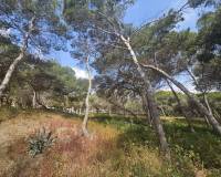 Resale - Apartment - Guardamar Del Segura - Guardamar pueblo