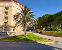 Resale - Apartment - Guardamar Del Segura - Guardamar