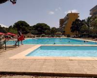 Resale - Apartment - Guardamar Del Segura - Pinomar