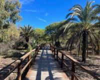 Resale - Apartment - Guardamar Del Segura - Playa