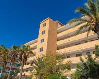 Resale - Apartment - Guardamar Del Segura - Urb. pinomar