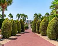 Resale - Apartment - Orihuela Costa - Playa Flamenca
