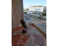 Resale - Apartment - Torrevieja - El acequión