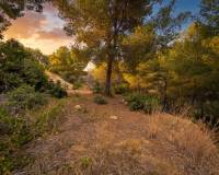 Resale - Building Plot - Benissa - Buenavista