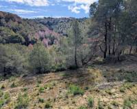 Resale - Building Plot - Benissa - Partida Biasner