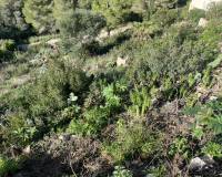 Resale - Building Plot - Denia - Galeretes