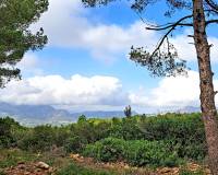 Resale - Building Plot - Denia - La Pedrera