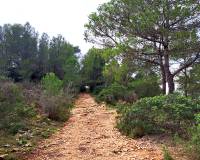Resale - Building Plot - Denia - La Pedrera