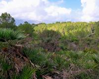 Resale - Building Plot - Denia - La Pedrera