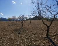 Resale - Building Plot - Murcia