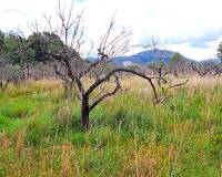 Resale - Building Plot - Murla - Puerta del valle